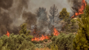 Πέντε οι πυρκαγιές σε εξέλιξη σε Κεντρική (Χαλκιδική) και Δυτική Μακεδονία