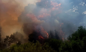 Σε εξέλιξη πυρκαγιές σε Βαρνάβα και Ελευσίνα