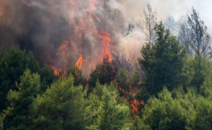 Αναζωπύρωση της πυρκαγιάς στον Φενεό - Μήνυμα από το 112