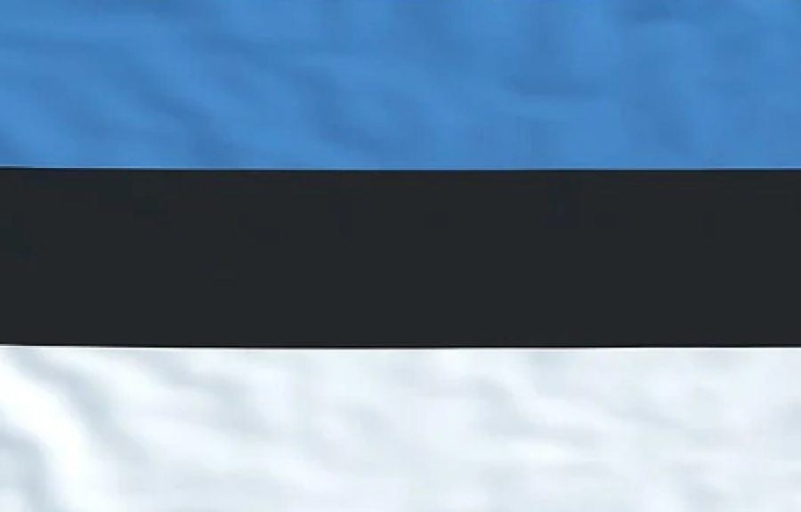 Εσθονία: Ναι στην αποσύνδεση της τιμής της ηλεκτρικής ενέργειας από αυτή του φυσικού αερίου