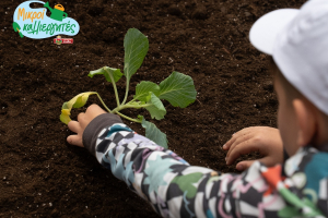 Μπάρμπα Στάθης: Παρουσίαση του νέου εκπαιδευτικού προγράμματος «Μικροί Καλλιεργητές»