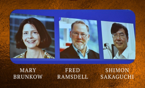 Νόμπελ Ιατρικής 2025: Τιμήθηκαν οι επιστήμονες Μπράνκοου, Ράμσντελ και Σακαγκούτσι