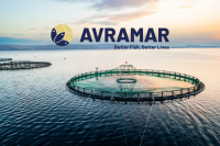 Σε νέα τροχιά η Avramar: Η Cooke φέρνει αλλαγές στη διοίκηση - Ανοίγει ο δρόμος για επενδύσεις