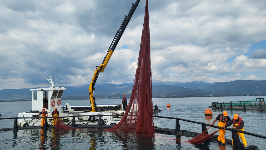 Philosofish: Πρωτοβουλία πιλοτικής δοκιμής οικολογικών διχτυών