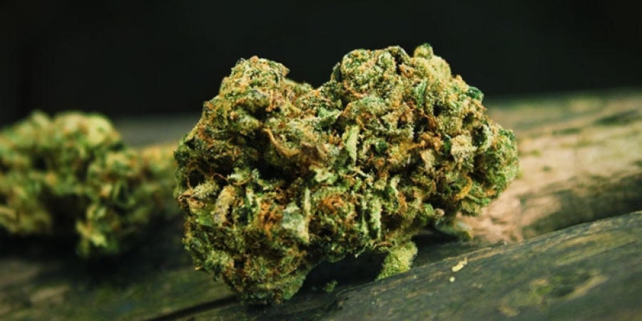 Η Επιτροπή αποφασίζει να καταχωρίσει εν μέρει μια Ευρωπαϊκή Πρωτοβουλία Πολιτών για την κάνναβη