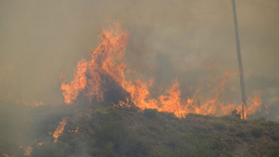 Περιπολίες στρατού και αστυνομίας σε δάση και επίφοβες περιοχές για πρόληψη πυρκαγιών