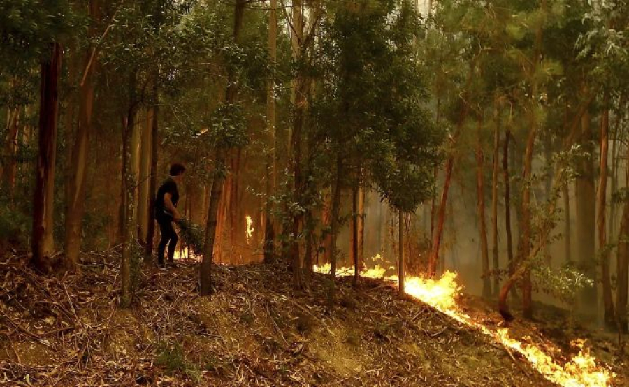 Πορτογαλία: Στο έλεος των δασικών πυρκαγιών