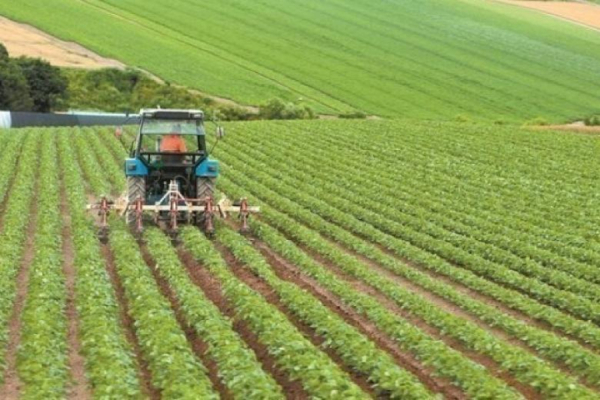 Δίκη για επιχορηγήσεις από τον ΟΠΕΚΕΠΕ: Ολοκληρώθηκαν οι απολογίες κατηγορουμένων