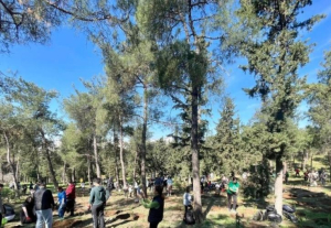 ΑΒΑΞ – ΜΕΤΚΑ: Φύτευση 1000 δέντρων στο περιαστικό δάσος της Θεσσαλονίκης