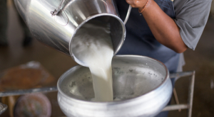 Όλο και πιο ακριβό πληρώνουν το γάλα οι καταναλωτές - Τι καταγγέλλουν οι κτηνοτρόφοι