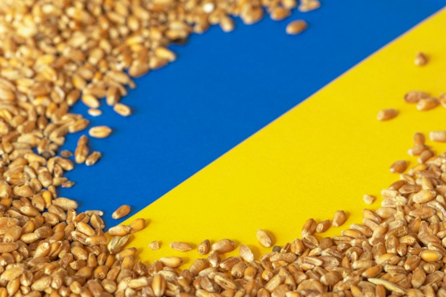 Οι εξαγωγές ουκρανικών τροφίμων έχουν μειωθεί σχεδόν κατά το ήμισυ από την έναρξη της ρωσικής εισβολής