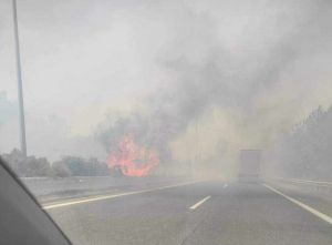 Βόλος: Φωτιά τώρα στον Αλμυρό- Ακινητοποιημένα οχήματα στην Εθνική Οδό