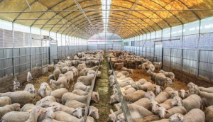 Δύο νέες πρωτοβουλίες πολιτών για κλείσιμο κτηνοτροφικών μονάδων και επισήμανση τροφίμων καταχώρησε η ΕΕ