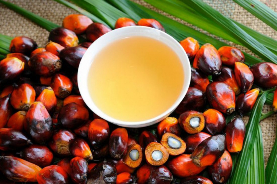 Στο +10% εκτοξεύθηκε η τιμή του φοινικέλαιου