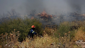 Κόρινθος: Φωτιά σε δασική έκταση στην περιοχή Άγιος Ιωάννης