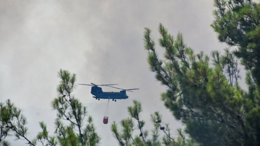 Copernicus: Mapping για τη χαρτογράφηση της περιοχής Βατερά Λέσβου