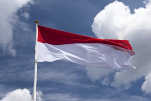 Ινδονησία: Διακόπτουμε τις εξαγωγές ελαίων μέχρι να διασφαλίσουμε ότι κάθε σπίτι έχει φαγητό