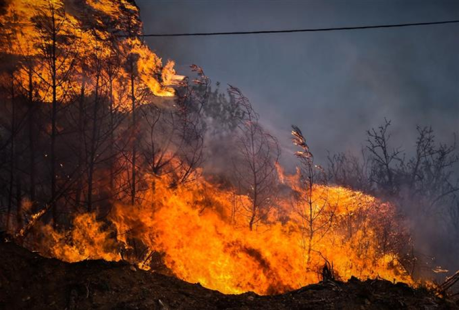 Φωτιά στην Πέλλα