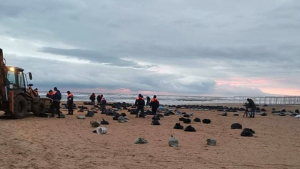 Η πετρελαιοκηλίδα στη Ρωσία και την Κριμαία συνεχίζει να εξαπλώνεται