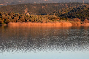 Τραγωδία στο Αγρίνιο: Ψαροντουφεκάς πνίγηκε στη γέφυρα Αχελώου