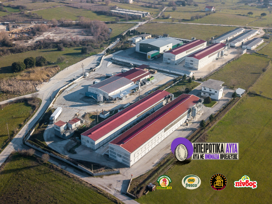 Ηπειρώτικα Αυγά: Nέες επενδύσεις 15 εκατ. ευρώ