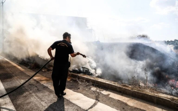 Ήπειρος: Καλώδιο της ΔΕΗ προκάλεσε πυρκαγιά σε κοινότητα της Πάργας