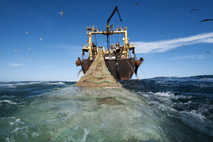 ΥΠΑΑΤ: Οικονομική ενίσχυση του κλάδου αλιείας για την αντιμετώπιση της ενεργειακής κρίσης