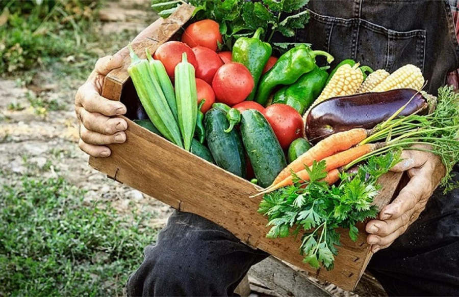 Μέχρι και 43% η πτώση στις τιμές των βασικών αγροτικών προϊόντων