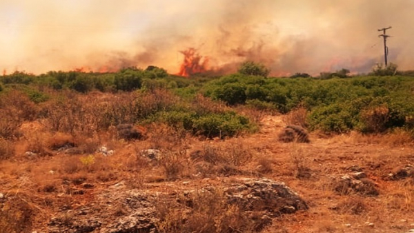 Πάρος: Συνεχίζεται η κατάσβεση της πυρκαγιάς που ξέσπασε στον Μώλο