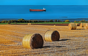 Ρωσία: Επέστρεψε στην συμφωνία για μεταφορά ουκρανικών σιτηρών