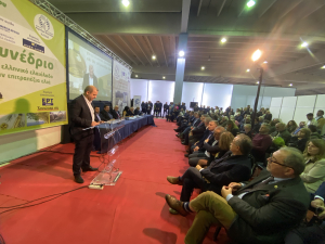 Φεστιβάλ Ελαιολάδου &amp; Ελιάς: Δυναμικός απολογισμός με 9.000 επισκέπτες, 110 εκθέτες και 80 σεφ