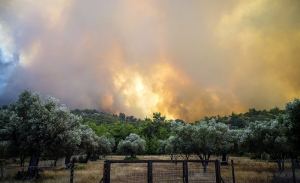 Ρόδος: Μεγάλη αναζωπύρωση της φωτιάς στο Ασκληπιείο-Καίγονται σπίτια