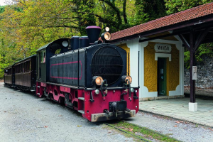 Hellenic Train: Επανέναρξη δρομολογίων των τουριστικών αμαξοστοιχιών Πηλίου