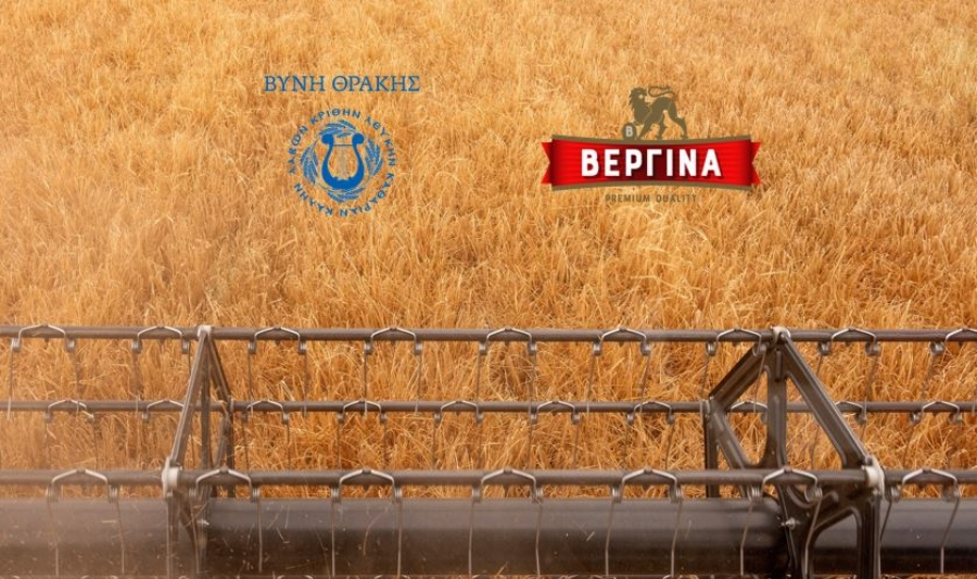 ΒΕΡΓΙΝΑ: Στήριξη στους παραγωγούς βυνοποιήσιμου κριθαριού - Χωρίς πλαφόν, με την καλύτερη τιμή αγοράς