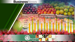Οι εισαγωγές φρούτων και λαχανικών αυξήθηκαν 13,2% το πρώτο οκτάμηνο του 2023