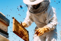 Όμιλος ΗΡΑΚΛΗΣ: Στηρίζει τη βιώσιμη ανάκαμψη του νευραλγικού κλάδου της μελισσοκομίας στη Βόρεια Εύβοια