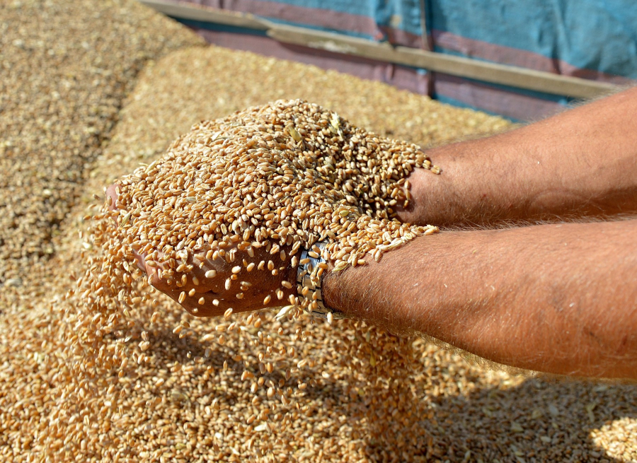 Ουκρανία: Σχεδόν 25 εκατ. τόνοι σιτηρών είναι αποκλεισμένοι στη χώρα