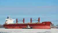 Bloomberg: Πλοίο εταιρείας με έδρα την Ελλάδα μετέφερε άνθρακα από την Ρωσία στην Τουρκία