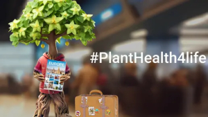 #PlantHealth4Life: Η Ευρώπη ενώνει δυνάμεις για την υγεία των φυτών – Τι κάνει η Ελλάδα