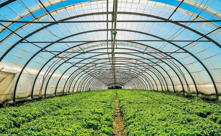 Συνεργατικός «Κόμβος Θερμοκηπίων» για την ανάπτυξη των καλλιεργειών