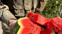Ουκρανία: Σύμβολο ελπίδας το... καρπούζι, μετά την επανάκτηση της Χερσώνας
