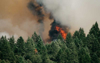 Τρίπολη: Φωτιά σε δασική έκταση στην περιοχή Καλύβια