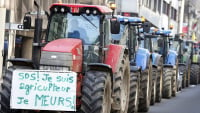 Ξεκίνησαν αγροτικές κινητοποιήσεις και στο Βέλγιο