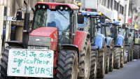 Ξεκίνησαν αγροτικές κινητοποιήσεις και στο Βέλγιο