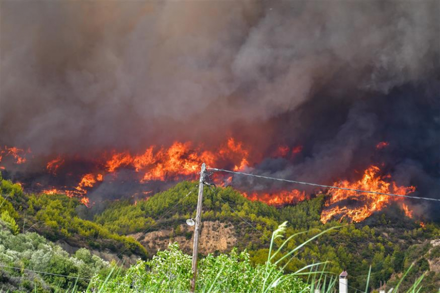 Πύργος: Φωτιά σε δασική έκταση στην περιοχή Σμέρνα στην Ζαχάρω Ηλείας
