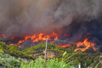Πύργος: Φωτιά σε δασική έκταση στην περιοχή Σμέρνα στην Ζαχάρω Ηλείας