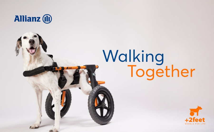 Allianz και Plus2Feet συνεχίζουν τη δράση «Walking Together» στηρίζοντας έμπρακτα αδέσποτα ζώα με κινητικά προβλήματα