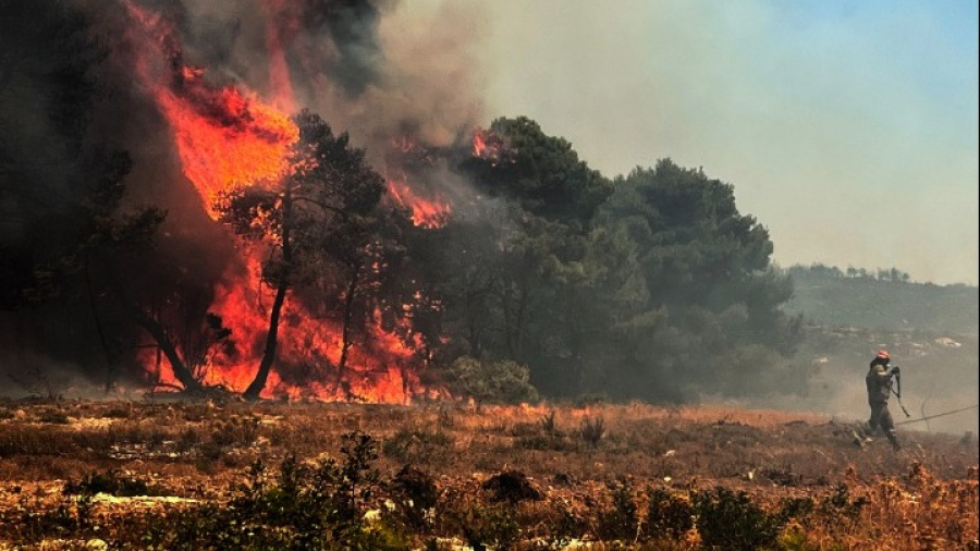 Η Εθνική Τράπεζα ανάδοχος αποκατάστασης των καμένων εκτάσεων στο νησί της Χίου με 1,31 εκατ. ευρώ