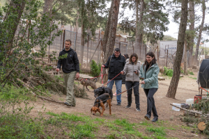 Kaizen Gaming: 200 εθελοντές σε 8 χώρες για την προστασία και την ευημερία των ζώων