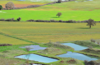 Ο «οδικός χάρτης» μετάβασης του αγροτικού τομέα στο νέο μοντέλο βιώσιμης παραγωγής